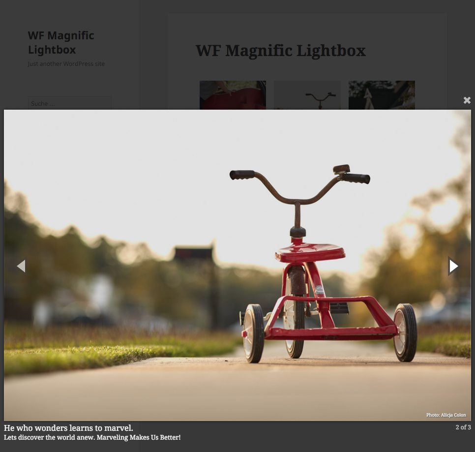 WordPress 响应式图片灯箱插件 WF Magnific Lightbox